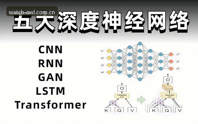 猫头鹰体育赛事直播功能全面评测：从下载到实战的深度体验报告